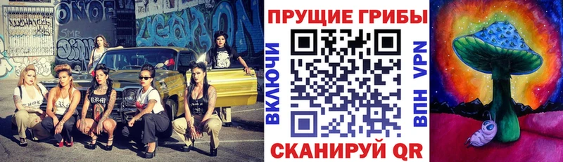 купить наркоту  Южа  Псилоцибиновые грибы прущие грибы 